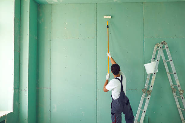 Mold Documentation for Insurance Claims in Chico, CA