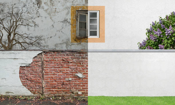 Trusted Chico, CA Mold Removal Experts